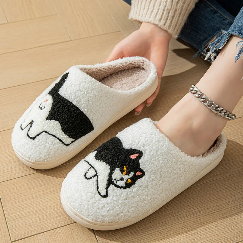 Cat Slides